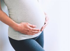 孕期饮食：孕妇能吃鱼胶吗？