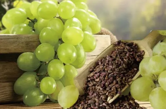 揭秘葡萄籽的五大惊人功效，让你重新认识这颗“小宝石”