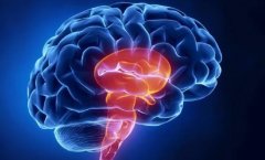专业指南：脑震荡后的及时治疗与注意事项