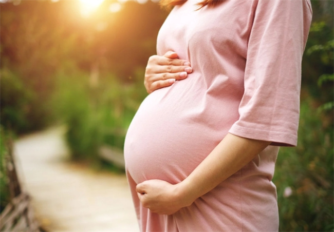 孕期营养补充：科学呵护宝贝健康