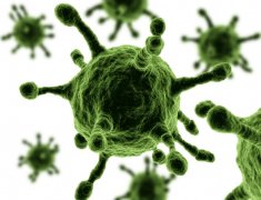 MERS病毒解析：新型冠状病毒威胁探究