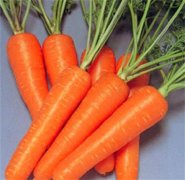 营养与美味齐飨：红萝卜在餐桌上的多重身影