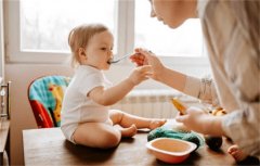 婴幼儿辅食指南：科学喂养，宝宝健康成长