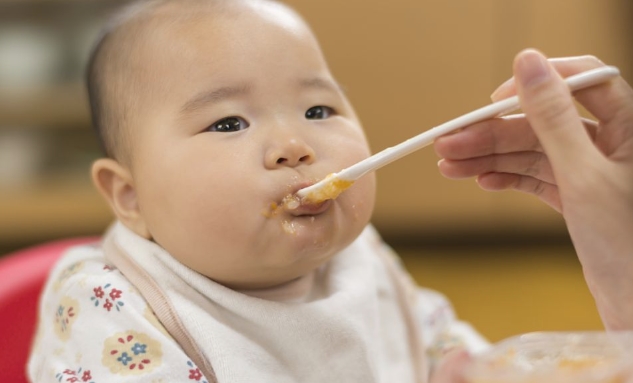 宝宝辅食添加指南：关键营养需求与食谱指南
