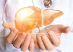 科学护肝饮食指南：肝脏健康从餐桌开始