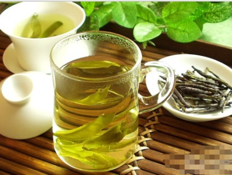 苦丁茶的多重功效：从健康到美容，你需要知道的好处》