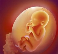 孕育宝宝的路上，胎儿停止发育的可能原因及科学面对