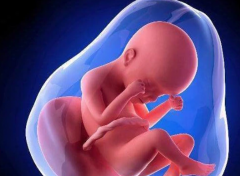 预防胎儿畸形的有效方法与关键注意事项