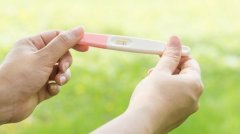 排卵试纸：一个可能预示早孕的隐秘指示器