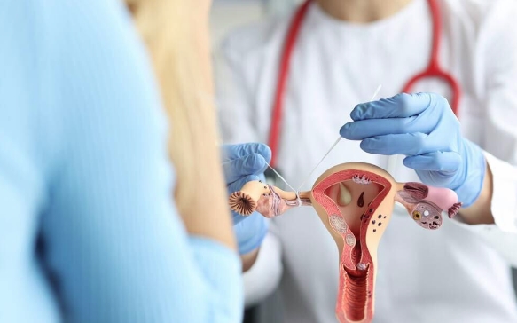 探讨输卵管堵塞对女性生育的影响及科学治疗方法