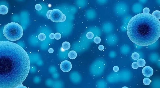 探讨球蛋白偏低的原因及健康知识