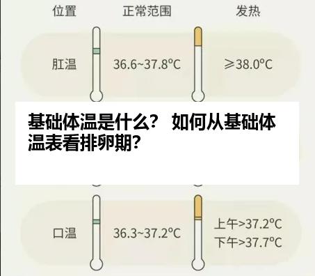 基础体温是什么？ 如何从基础体温表看排卵期？