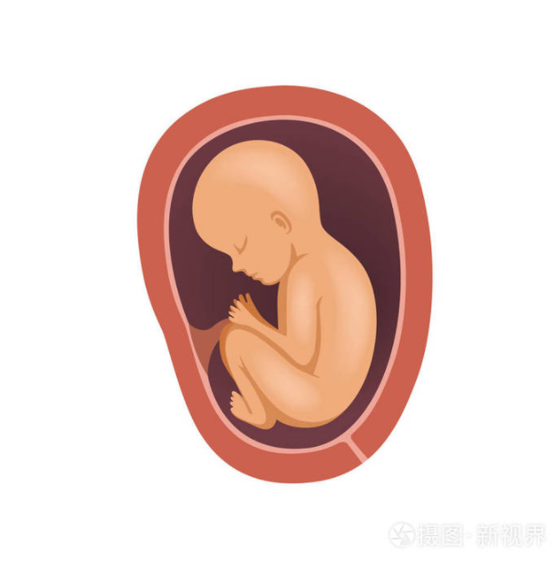 掌握胎儿安全4重点，孕妈咪安心了，有助打造适合胎儿生长的环境！