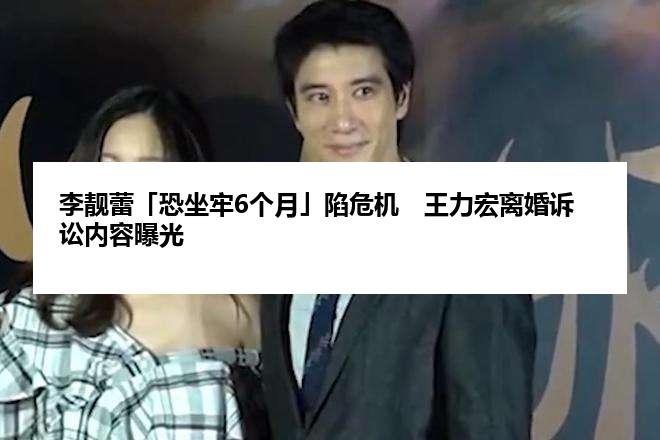 李靓蕾「恐坐牢6个月」陷危机　王力宏离婚诉讼内容曝光