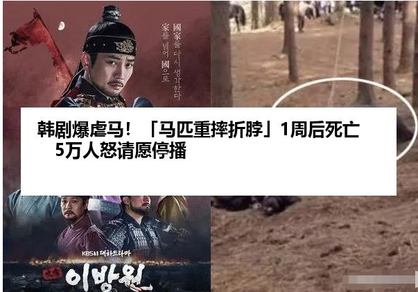 韩剧爆虐马！「马匹重摔折脖」1周后死亡　5万人怒请愿停播