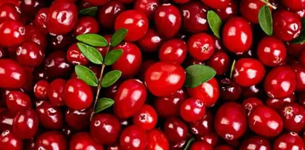 女性保养红宝石！教你蔓越莓该如何挑选、剂量、功效是什么？