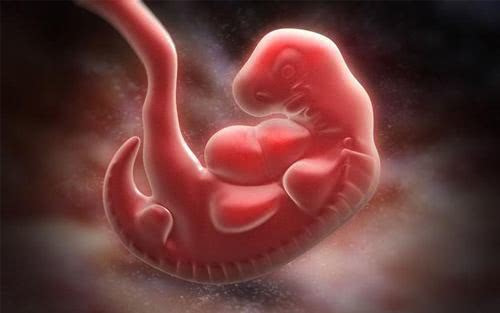 精准掌握胚胎品质与植入条件  一「试」中的不是梦！