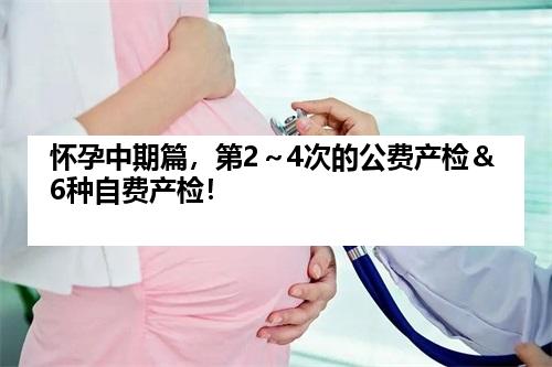 怀孕中期篇，第2～4次的公费产检＆6种自费产检！