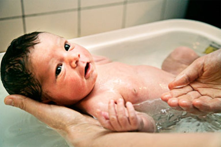 如何用千层油治疗婴儿咳嗽或母亲应该知道