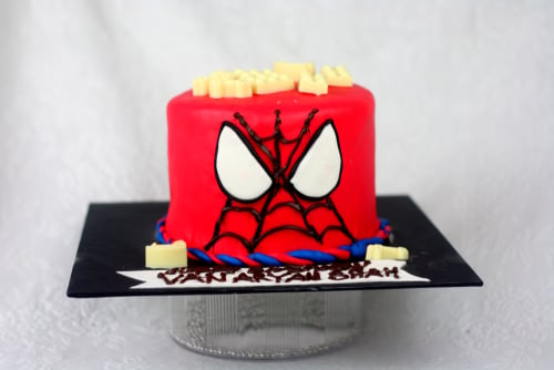 [图] 最独特最搞笑的男孩生日蛋糕