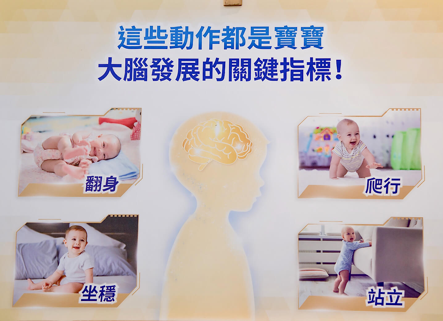 0~3岁是大脑发展关键！小儿神经科医师说明脑力发育三大原则：陪伴、刺激、营