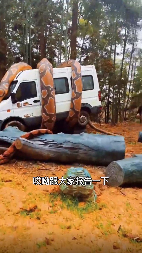 假的！网疯传阿里山巨蟒缠车 真相揭晓：中国装置艺术