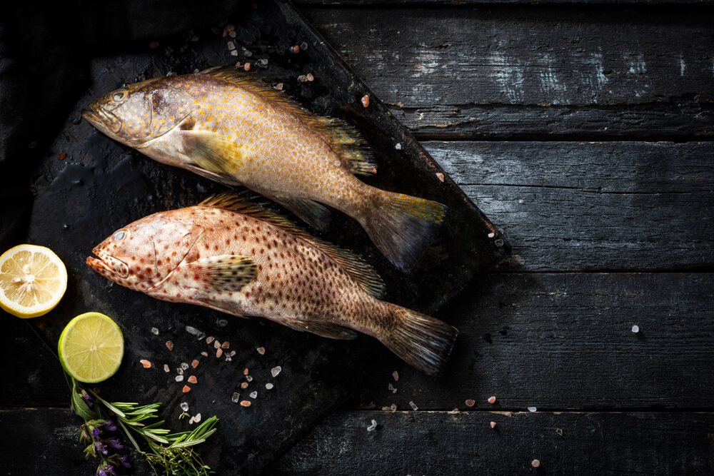 吃鱼除了变聪明还有3优点！营养师推荐「这两种鱼」营养好处多