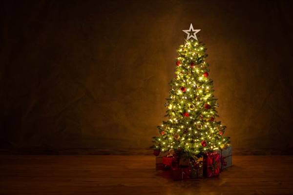 恐怖瞬间！8岁女童触摸圣诞树被卡住，一点灯就被电死！