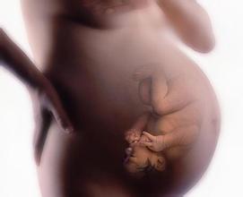 孕期胎动究竟怎么动