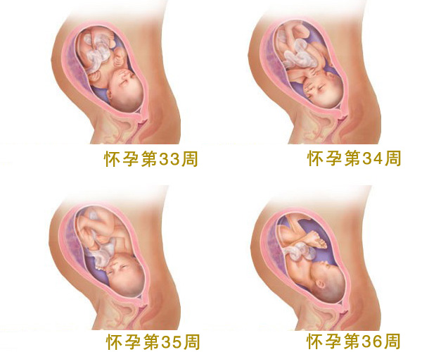 孕34周胎儿指甲覆盖指尖啦，怀孕34周发育情况和注意