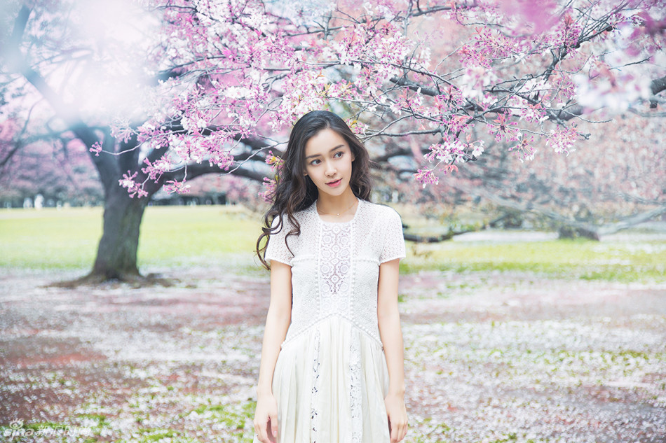 Angelababy全新《樱花说》写真，清新的妆容与背后的樱花美景交相呼应，形成一幅美醉人的画面。时而纯真时而率性的感觉更是凸显了baby的少女气质，怎一个仙字了得。