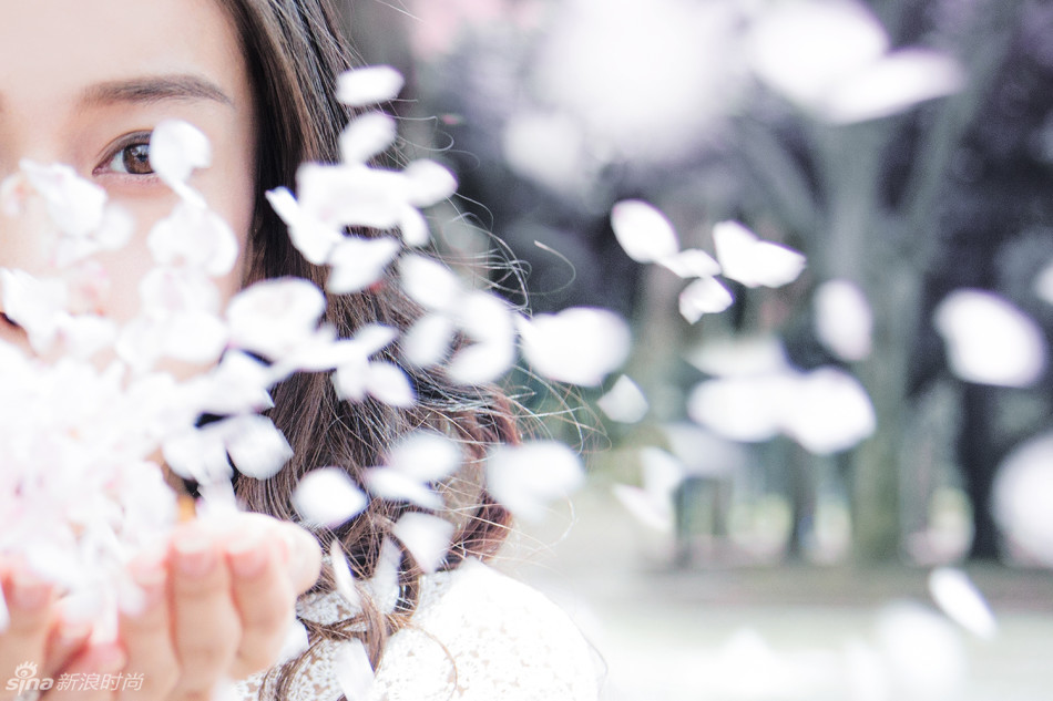 Angelababy全新《樱花说》写真，清新的妆容与背后的樱花美景交相呼应，形成一幅美醉人的画面。时而纯真时而率性的感觉更是凸显了baby的少女气质，怎一个仙字了得。