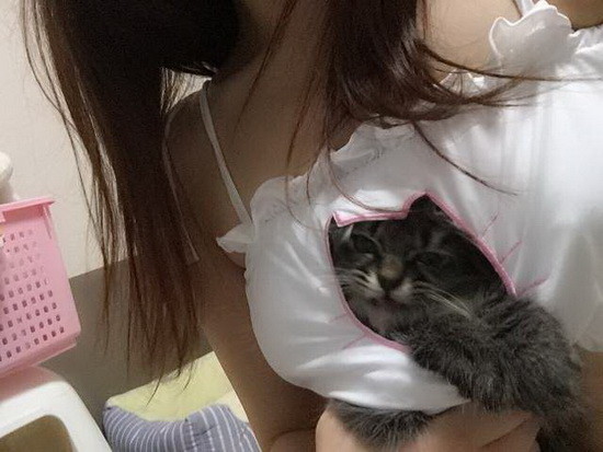 感觉喵星人超级不情愿的待在里面耶～