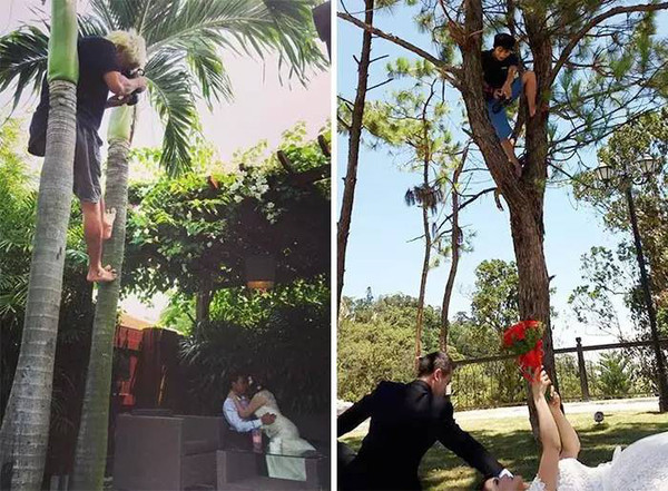 摄影师们还得有两手功夫，比如爬树~