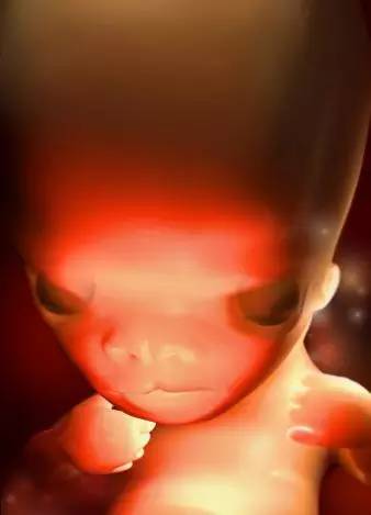 3D技术呈现怀孕周期胎儿发育过程图：怀孕第9周五官发育