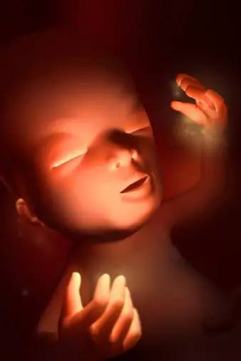 3D技术呈现怀孕周期胎儿发育过程图：怀孕13周进入孕中期