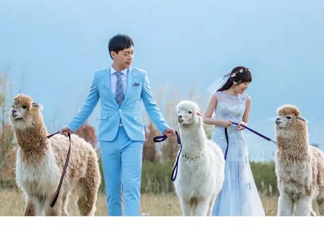 爱在大理,婚纱照欣赏