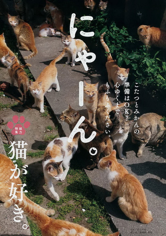 不过这本杂志本期的主角并不是小嶋阳菜，而是岩合光昭拍下的许多喵星人写真，翻翻内容可以说是完全被猫占领的一集啊