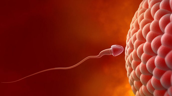【人工受孕】什么是人工受孕_人工受孕过程是怎样的