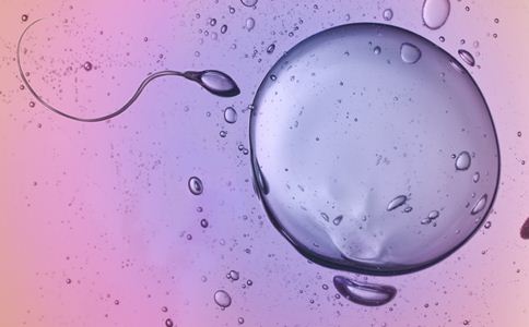 卵子发育不好的原因 怎么培养优质卵泡