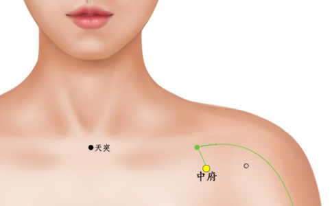 乳房怎样能快速变大 推荐八个穴位按摩法