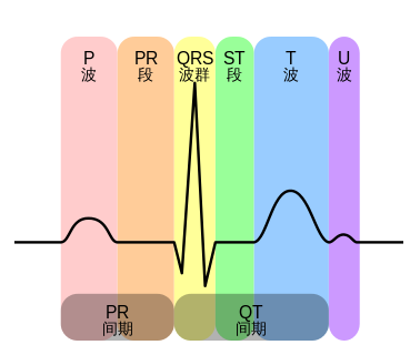 【心电图】心电图是检查什么的_心电图怎么看