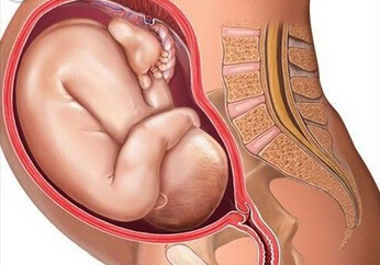 正常胎位图和胎位不正图