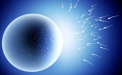排卵期怎么算才最准确 5种方法计算排卵期