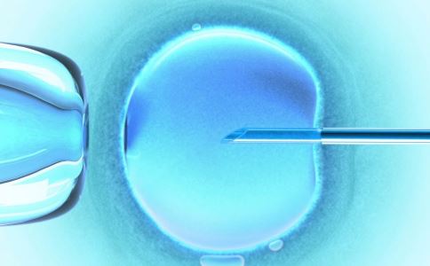 什么是试管受精 试管受精的具体步骤有哪些