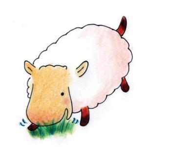 机智的小羊的胎教故事