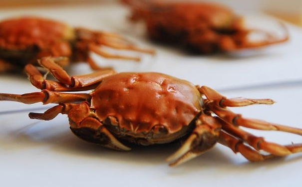 大闸蟹吃不完怎么保存？吃不完的海蟹怎么保存？