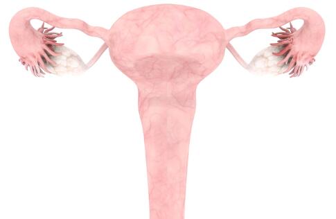 卵巢囊肿有什么症状