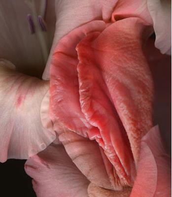 女人生殖器11种图片：11种女性生殖花样形体图