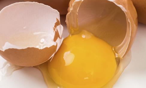 宝宝能不能吃鸡蛋 宝宝吃蛋黄好还是蛋白好